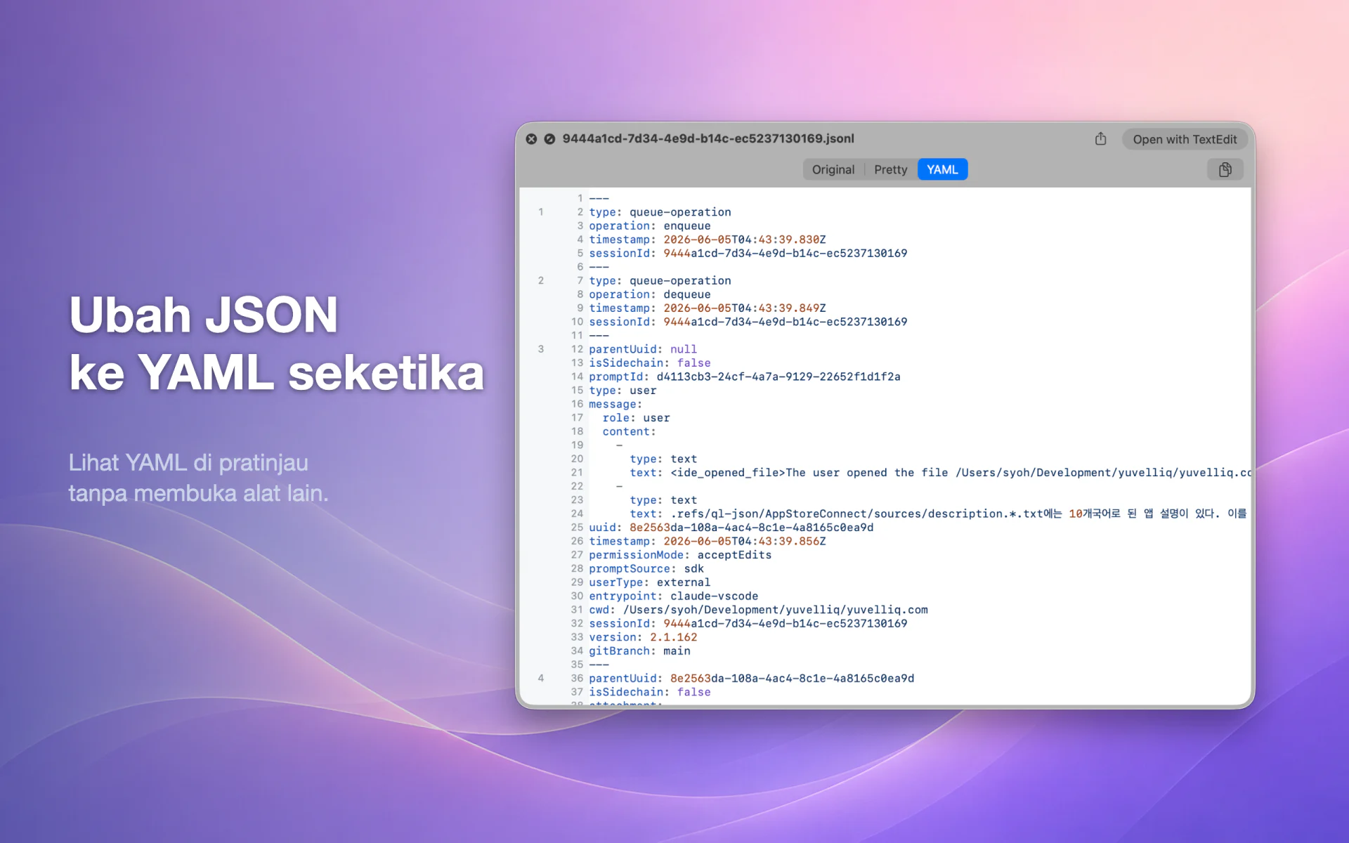 QLook JSON — Mac 6